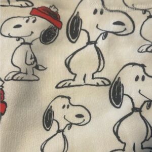 **NWT** AE Lounge Men’s Fleece PJ Set- Peanuts